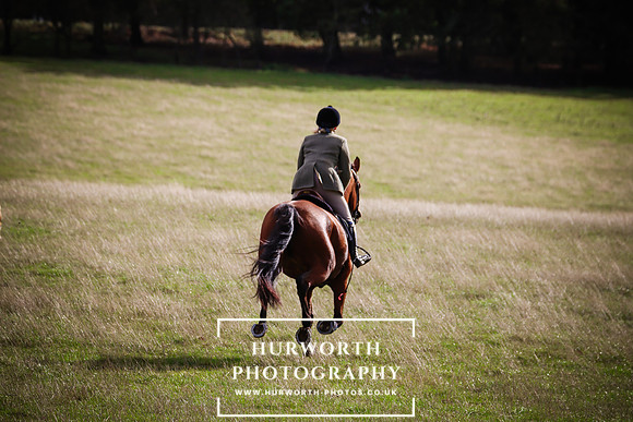 Hurworth Hunt 45