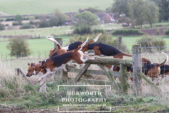 Hurowth Hunt 52