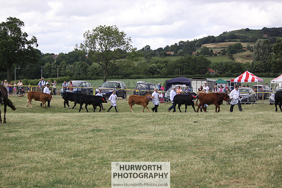 2013 Osmotherley Show 239