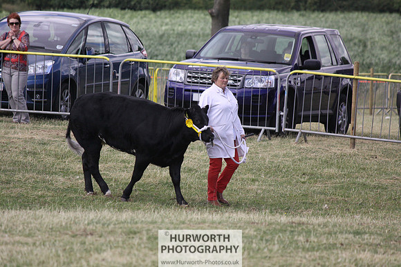 2013 Osmotherley Show 241