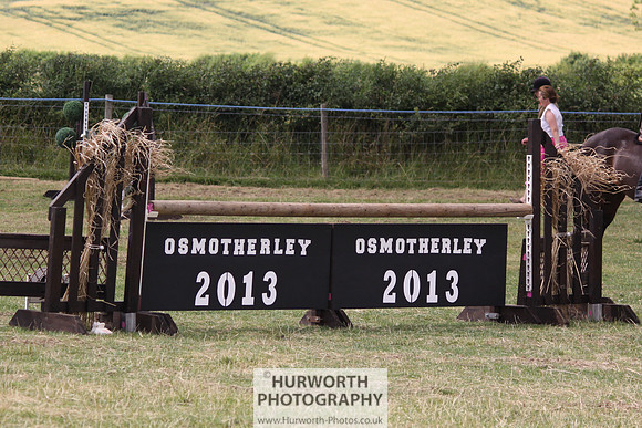 2013 Osmotherley Show 113
