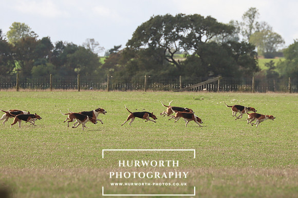 Hurowth Hunt 31
