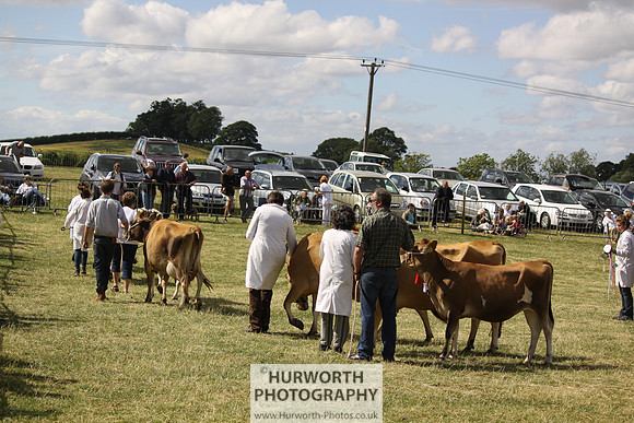 2013 Osmotherley Show 231