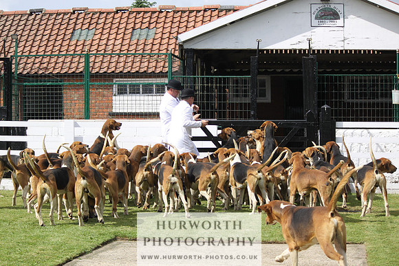 Hurworth Hunt Puppy Show 140