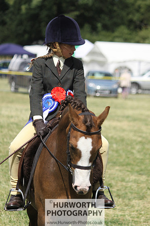 2013 Osmotherley Show 250