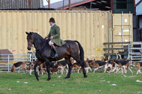 Hurowth Hunt 31