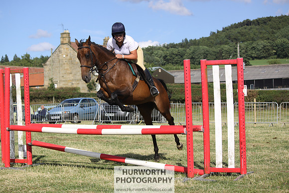 2013 Osmotherley Show 362