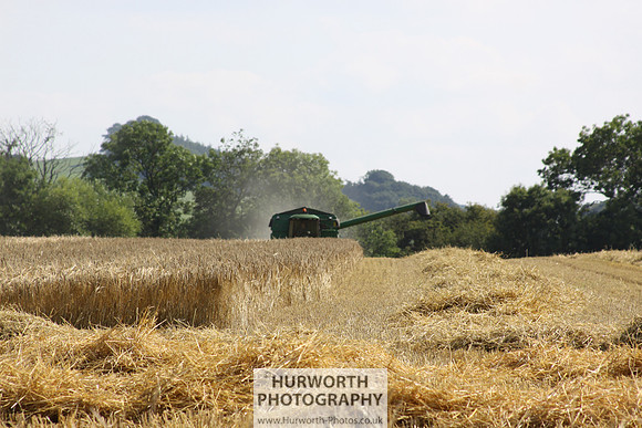 Countryside 062