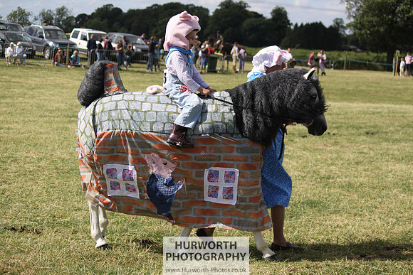 2013 Osmotherley Show 261