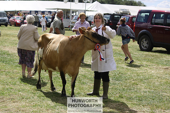 2013 Osmotherley Show 107