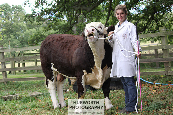 2013 Osmotherley Show 111