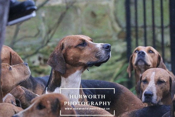 Hurworth Hunt 32