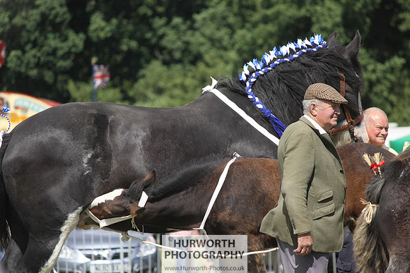 2013 Osmotherley Show 156