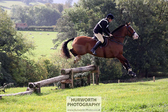 Hurworth Bilsdale Hedge Hop 137