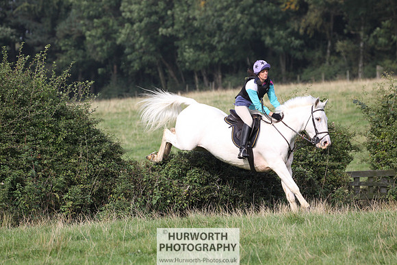 Hurworth Hunt Hedge Hop 273