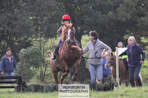Hurworth Hunt Hedge Hop 007