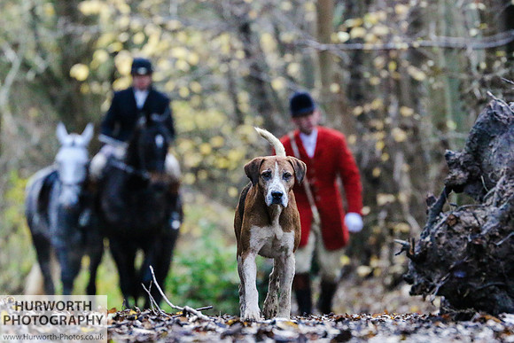 Hurworth Hunt 64