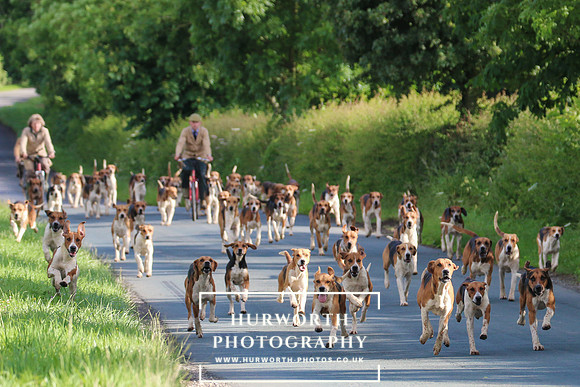 Hurworth Hunt 023