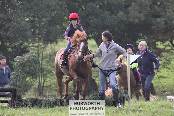 Hurworth Hunt Hedge Hop 008