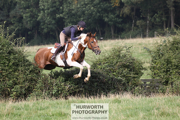Hurworth Hunt Hedge Hop 270