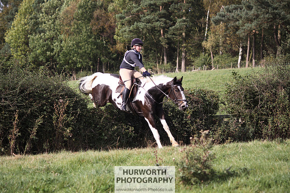 Hurworth Bilsdale Hedge Hop 543