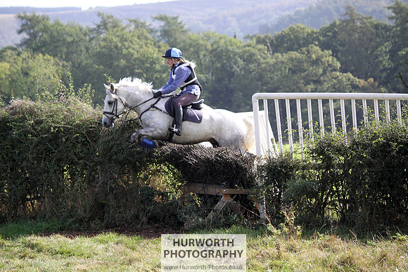 Hurworth Bilsdale Hedge Hop 392