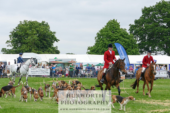 Hurworth Hunt 2