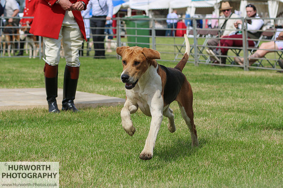 Festival of Hunting 008