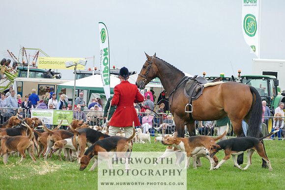 Hurworth Hunt 19