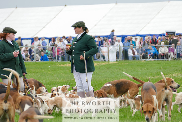 Hurworth Hunt 31