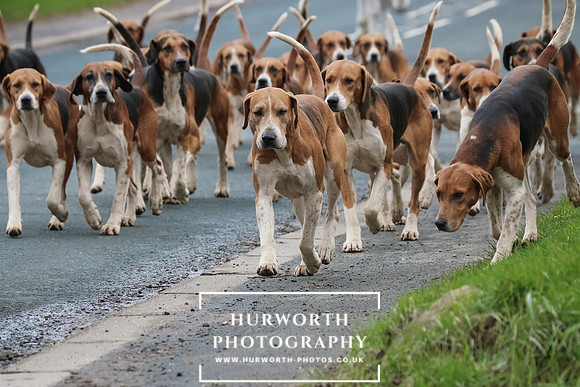 Hurworth Hunt 017