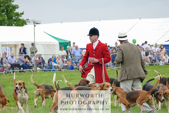 Hurworth Hunt 30
