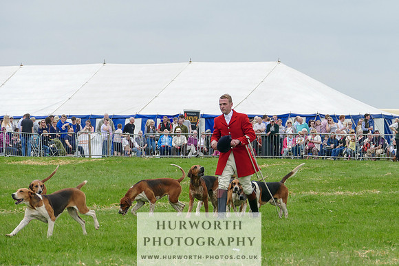 Hurworth Hunt 23