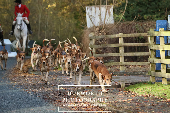 Hurworth Hunt  164