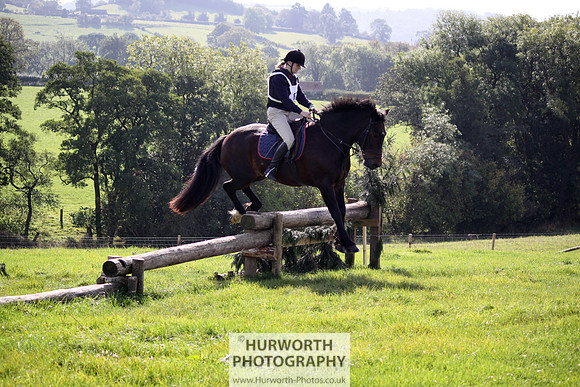 Hurworth Bilsdale Hedge Hop 290