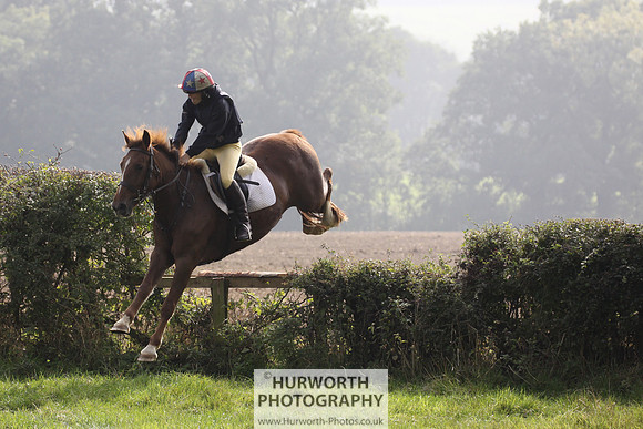 Hurworth Hunt Hedge Hop 284