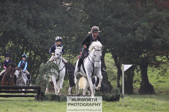Hurworth Hunt Hedge Hop 028