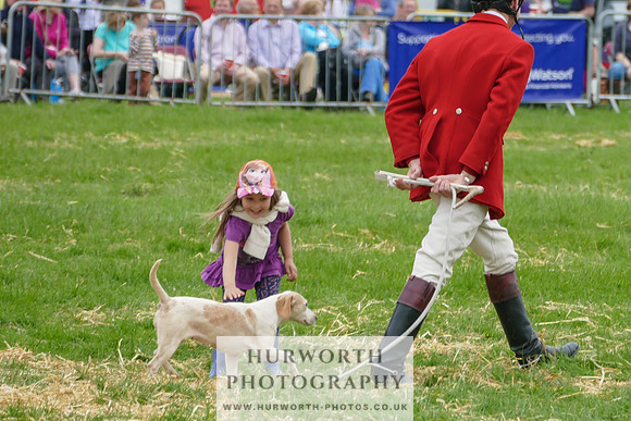 Hurworth Hunt 34