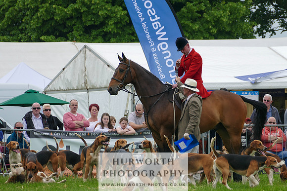 Hurworth Hunt 40