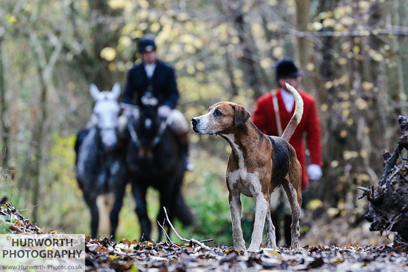 Hurworth Hunt 65