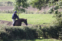 Hurworth Hunt Hedge Hop 449
