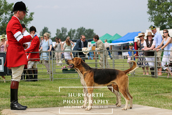 Festival of Hunting 048