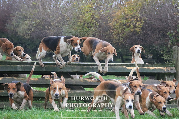 Hurworth Hunt  122