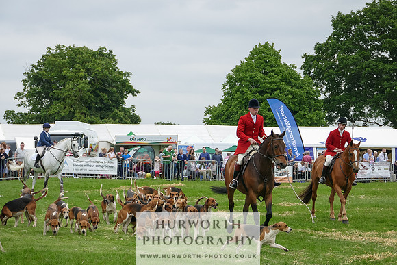 Hurworth Hunt 1