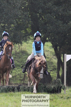Hurworth Hunt Hedge Hop 032