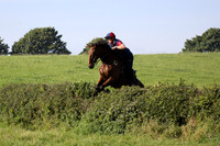 Hurworth Hunt Hedge Hop 440