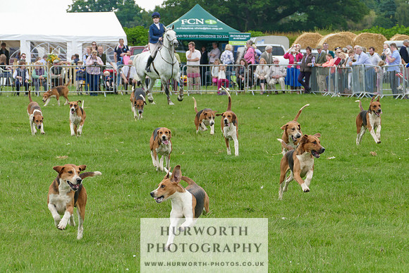 Hurworth Hunt 49