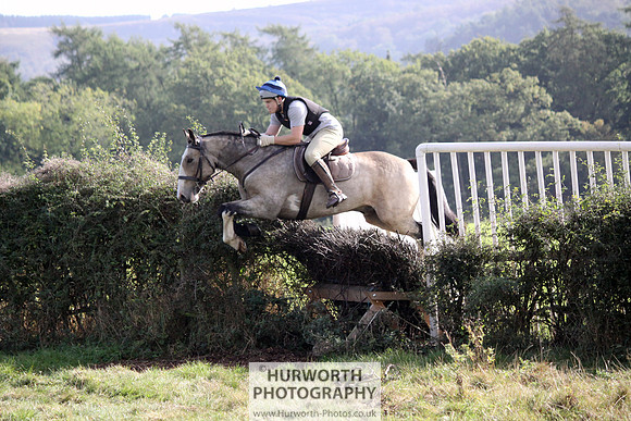 Hurworth Bilsdale Hedge Hop 397