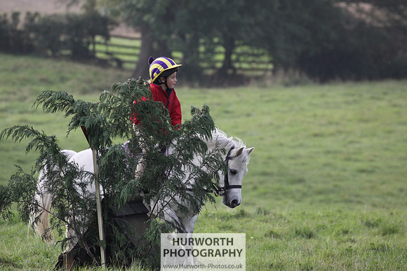 Hurworth Hunt Hedge Hop 022