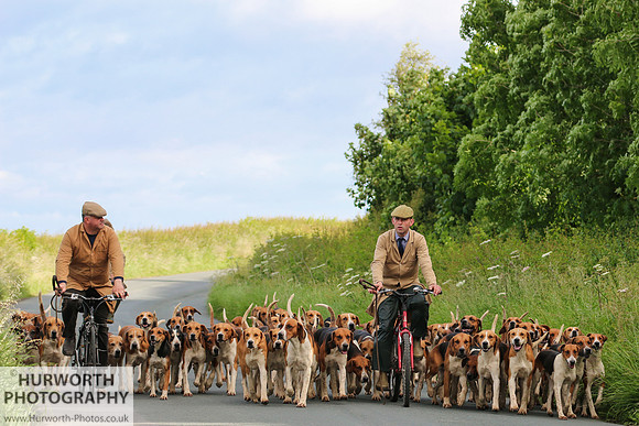 Hurworth Hunt 064